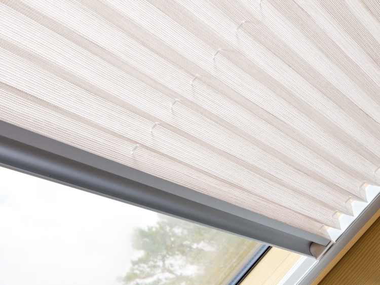 18445_50251