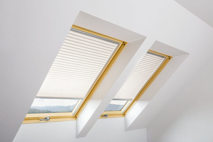 18460_50533