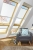 19762_50982