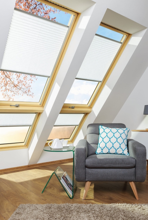 23940_51198