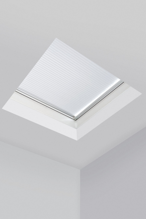 27796_54271