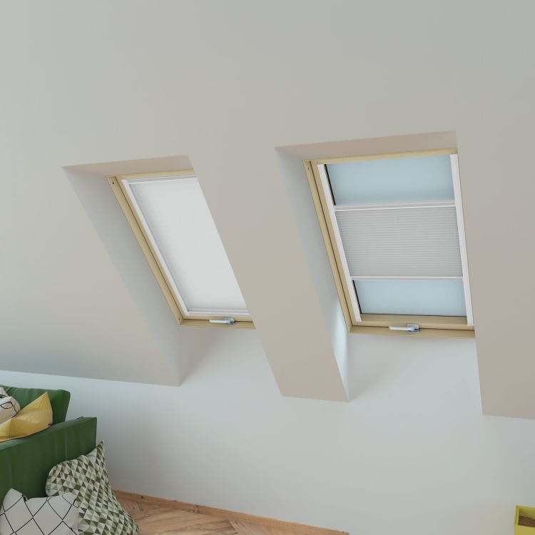 19409_56384