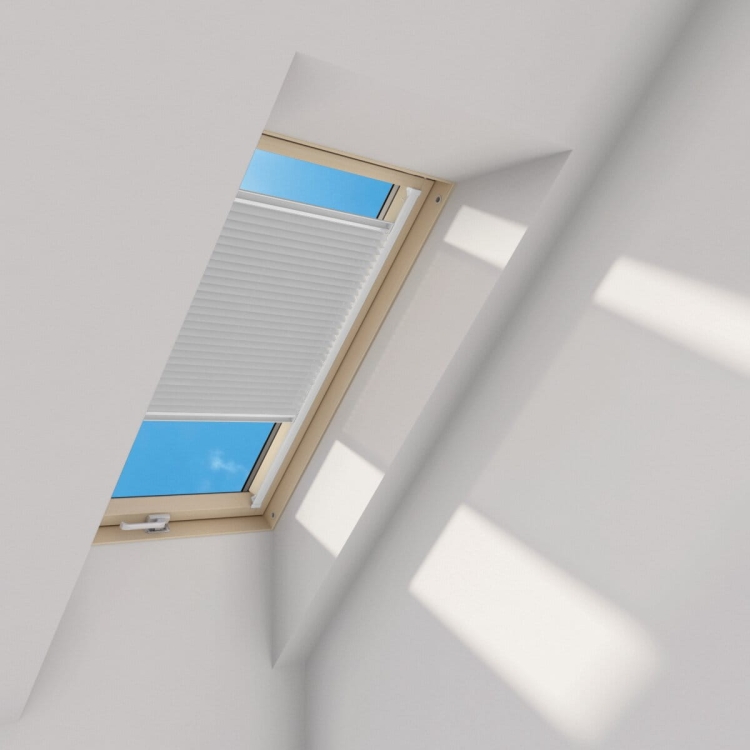 19364_56655