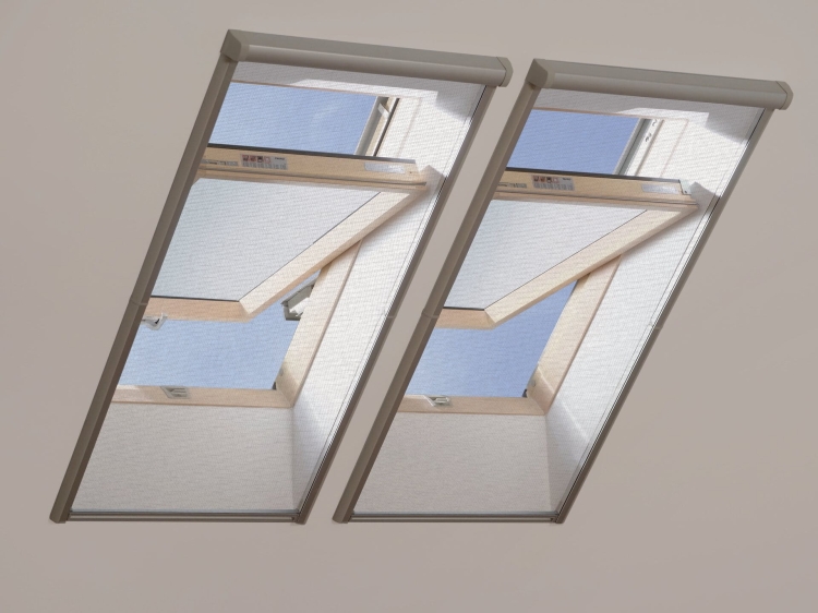 79566_58728