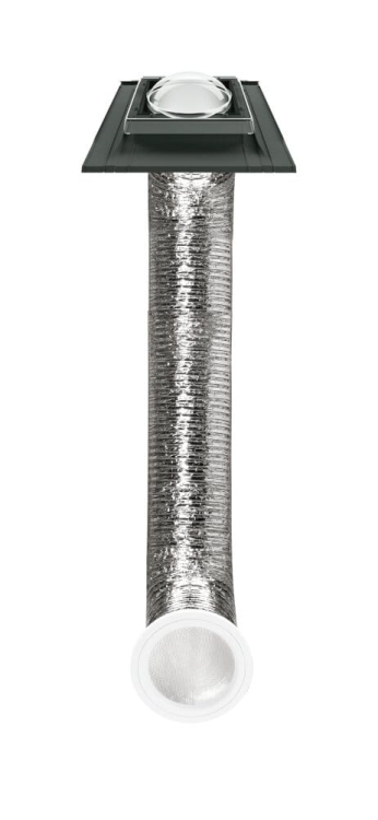 24531_123399