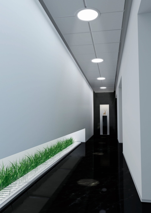 95615_161005